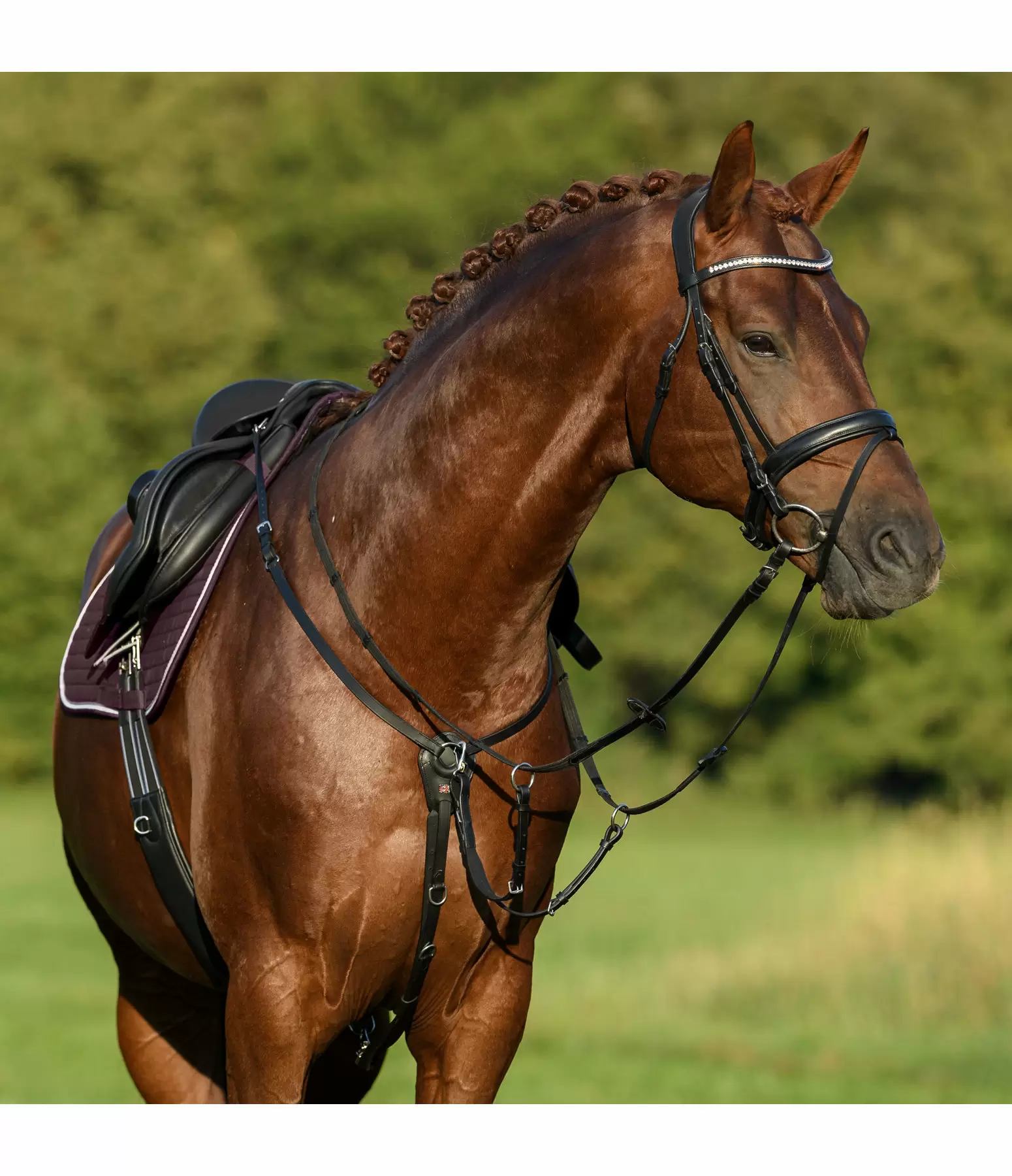 Collier de chasse en cuir gras  Basic