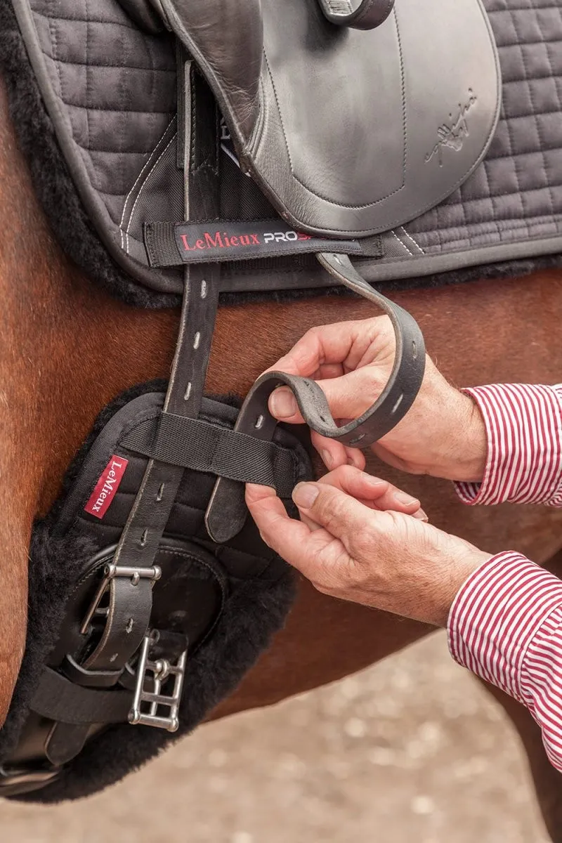 Fourreau de sangle dressage en laine d'agneau LeMieux