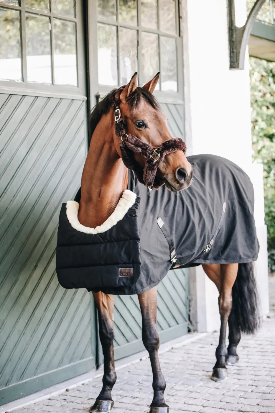 Horse BIB Hiver