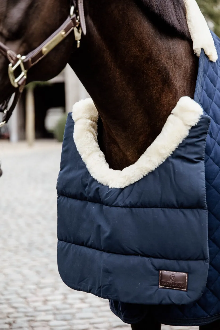 Horse BIB Hiver