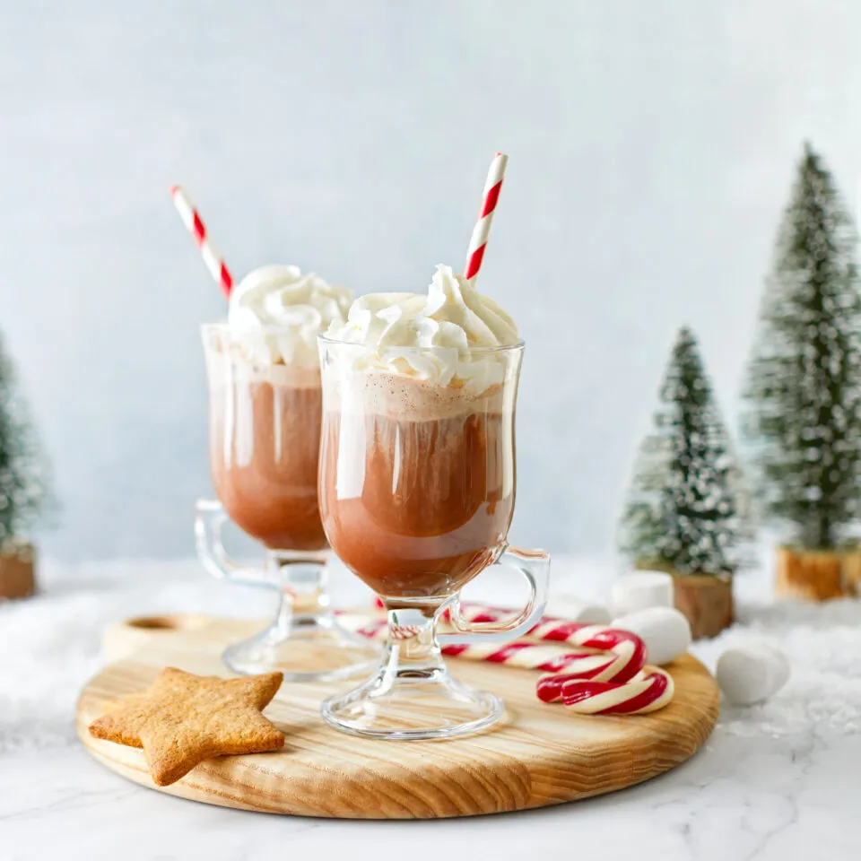 Sachet de chocolat chaud Globe à neige