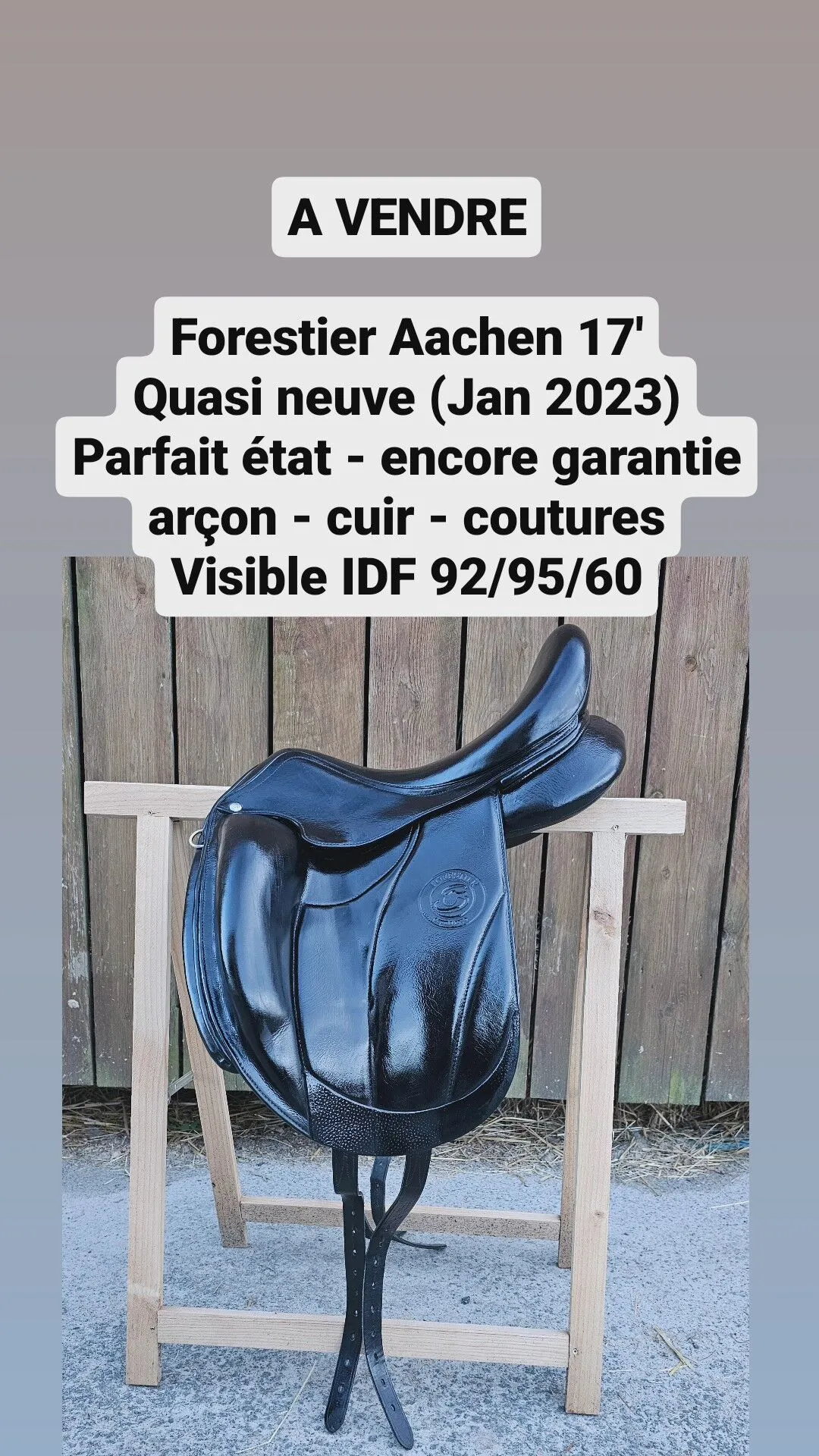 Selle dressage Forestier Aachen 17'