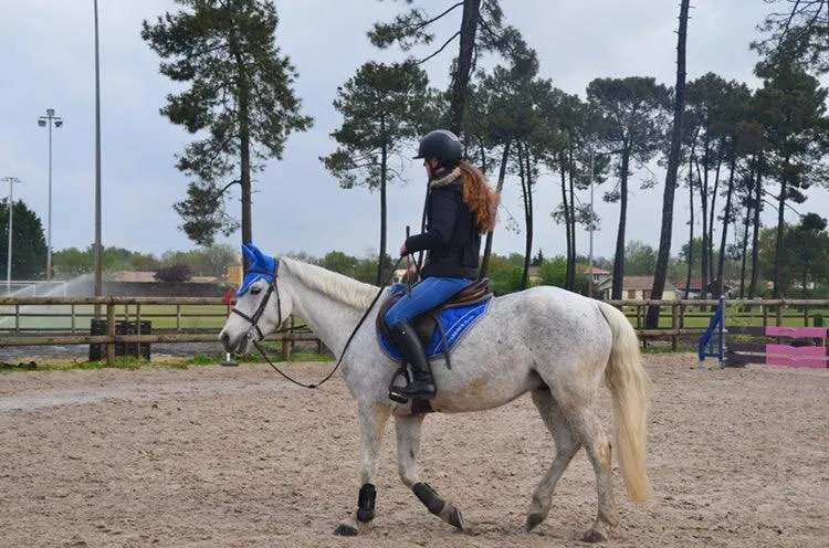 Tapis Paddock sport bleu roi